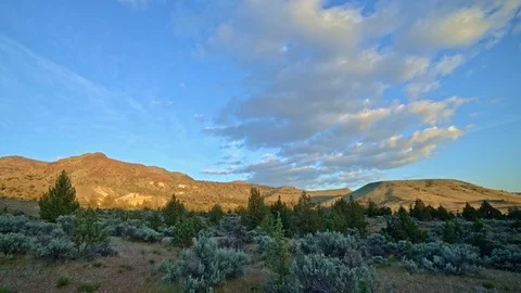 Sunset on Sutton Mountain near John Day Fossil Beds National Monument Juniper Stock Footage 81903354