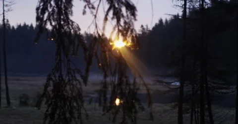 Sunset in a swamp area 動画素材 76046166