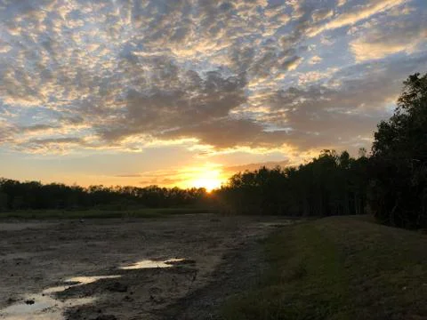 Sunset in the swamp during a drought Stock Photos