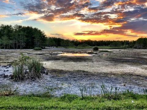 Sunset in the swamp during a drought Stock Photos