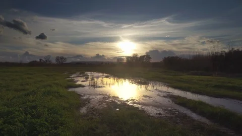 Sunset on the swamp Stock Footage 102336880