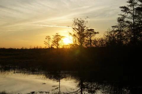 Sunset in the swamp Stock Photos