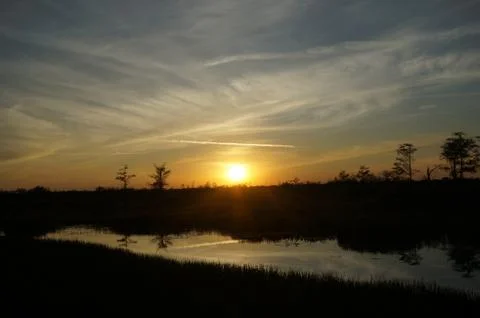 Sunset in the swamp Stock Photos