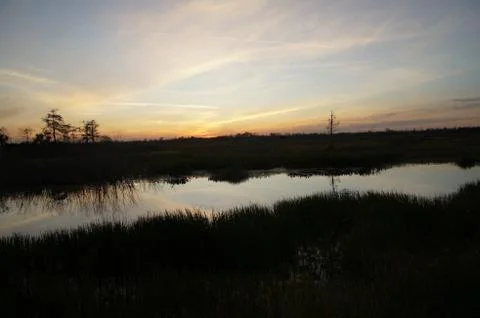 Sunset in the swamp Stock Photos