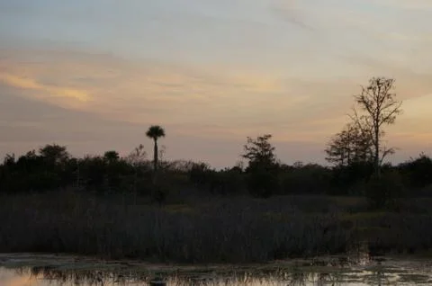 Sunset in the swamp Stock Photos
