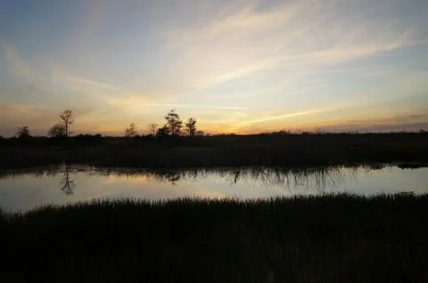 Sunset in the swamp Stock Photos