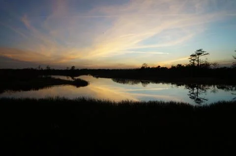 Sunset in the swamp Stock-Fotos