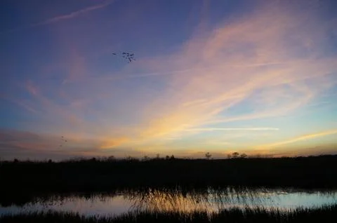 Sunset in the swamp Stock Photos