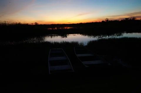 Sunset in the swamp Stock Photos
