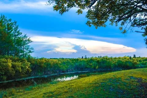 Sunset in the swamp Stock Photos