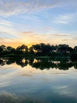 Sunset in the swamp Stock Photos