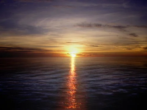 Sunset Swim Stock Footage 490170