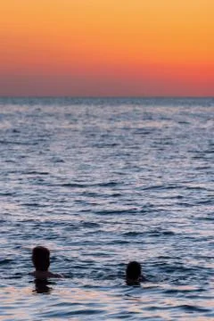 Sunset swim Stock Photos