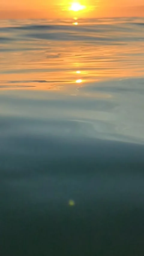 Sunset swimming in Florida Stock Footage 293229651