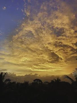 Sunset Symphony Фото