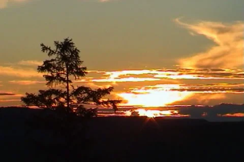 Sunset in taiga 01 動画素材 1011788