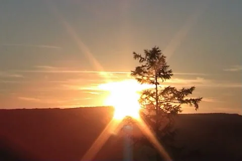 Sunset in taiga 02 動画素材 1011827