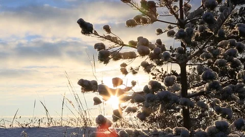 Sunset in Tallinn Estonia Stock Footage 101886399