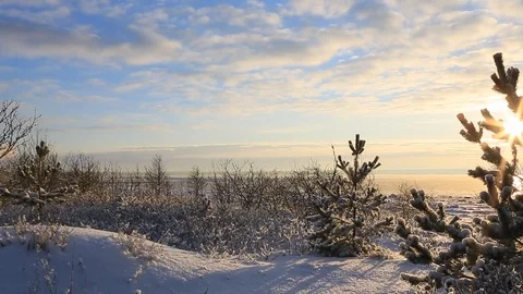 Sunset in Tallinn estonia Stock Footage 101886534