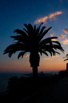 Sunset in Tarragona Stock-Fotos