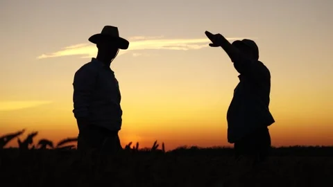 Sunset teamwork handshake wheat field agriculture farm, Farmers finalizing deal 動画素材 293668884