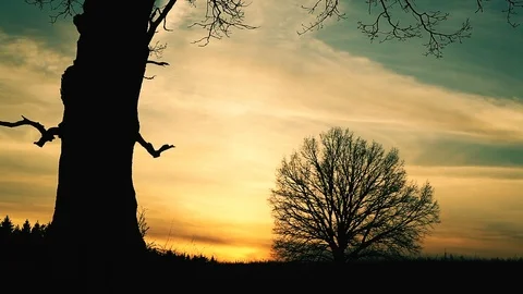 At sunset there is a grim Reaper Видео 88903459