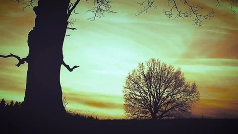 At sunset there is a grim Reaper 動画素材 91345303