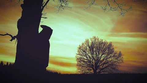 At sunset there is a grim Reaper Vidéo 94894501