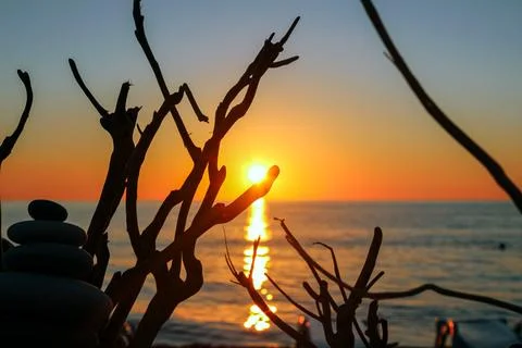 Sunset through branches and stone cairn by the sea Stock Photos