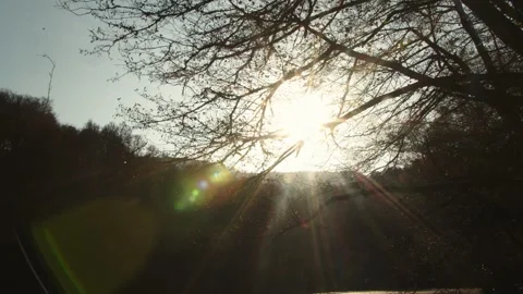 Sunset through branches 動画素材 141860084