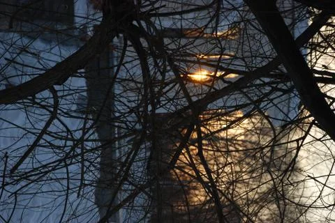 Sunset through the branches in the park in winter Stock Photos