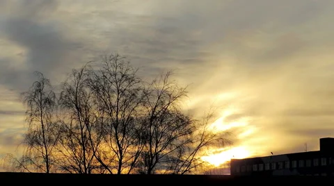 Sunset through the branches of a tree timelapse (2) Vidéo 48630946
