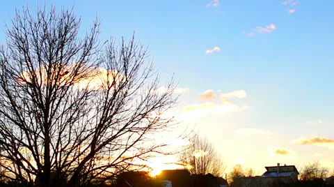 Sunset through the branches of a tree timelapse (1) Видео 48630983
