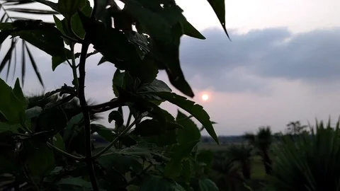 Sunset through Dark Leveas Stock Footage 109732407