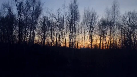 Sunset through the dark woods with fast movement Stock Footage 120276651