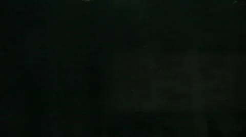 Sunset through dense forest 2 Stock-Footage 462149