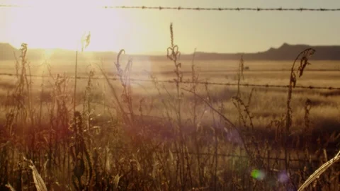 Sunset Through Fence Stock Footage 98960797