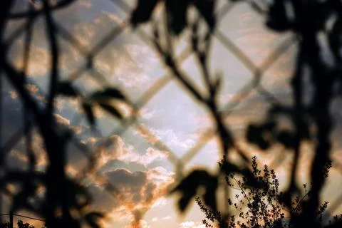 Sunset Through the Fence Fotos de archivo