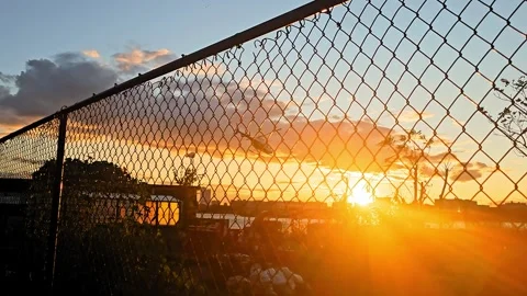 Sunset Through Fence, A vibrant sunset seen through a chain-link fence with a Stock Footage 299913765