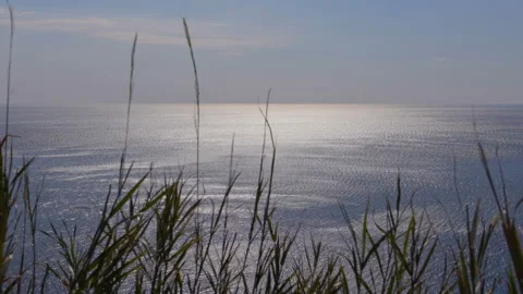 Sunset through the grass. sun reflections on the sea, grass swaying in wind. Stock Footage 105380401