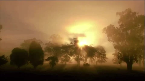 Sunset Through Misty Trees with Dramatic Sky Stock-Footage 327266627