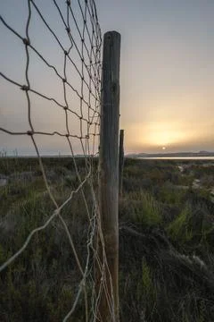 Sunset Through the Net Stock Photos