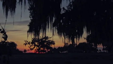 Sunset through the oaks Stock Footage