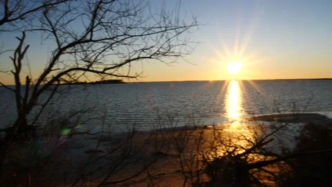 Sunset through old dead trees with orange and yellow sun Stock Footage 150195964