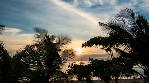 Sunset Through Palm Trees on Beach Stock Footage 58595776