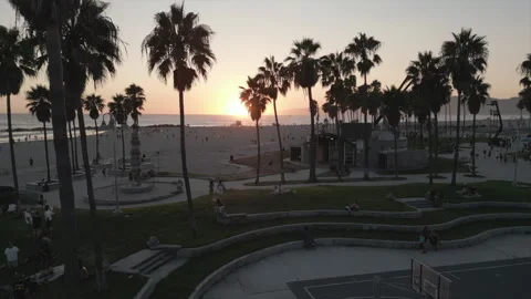 Sunset through the palm trees Stock Footage 284052717