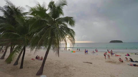 Sunset through the palm trees on Phuket beach Video stock 305102640