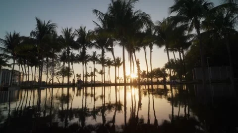 Sunset Through Palm Trees at South Pointe Park Miami with Ocean and Port View Stock Footage 318870929