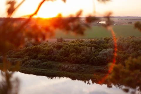 Sunset through pine branches Stock Photos
