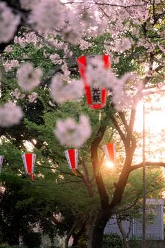 Sunset through red lantern Foto stock
